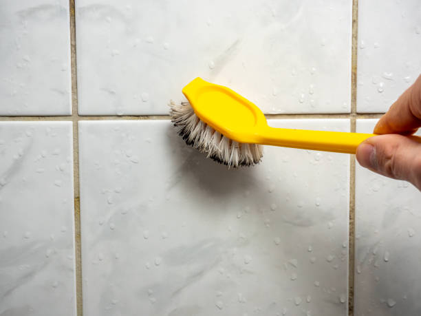 Best Mold Cleaning Services  in Mill Plain, CT