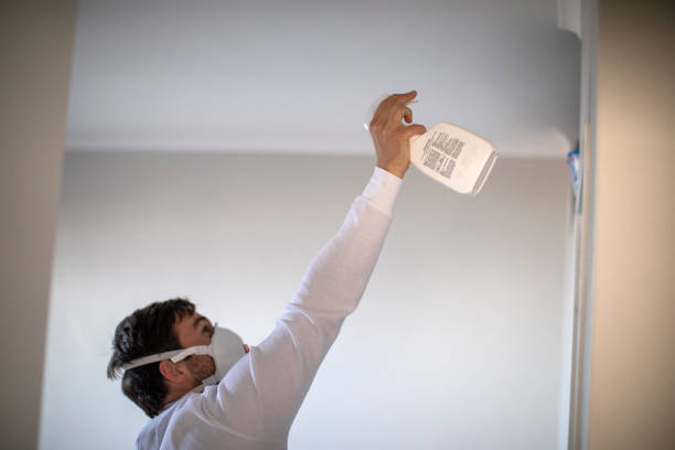 Best Water Damage Restoration  in Mill Plain, CT