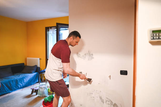 Best Black Mold Removal  in Mill Plain, CT